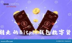如何找回被转走的Bitpie钱包数字货币：详尽指导