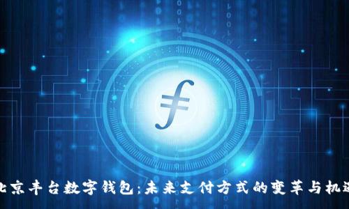: 
北京丰台数字钱包：未来支付方式的变革与机遇