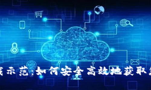 数字钱包下载示范：如何安全高效地获取您的数字钱包