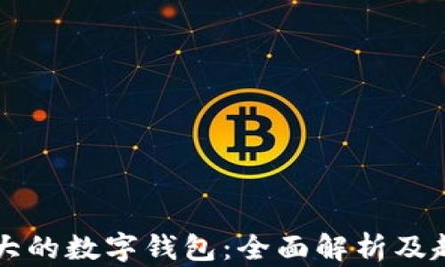 
亚洲最大的数字钱包：全面解析及趋势展望