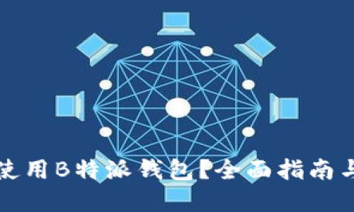 如何安全使用B特派钱包？全面指南与实用技巧